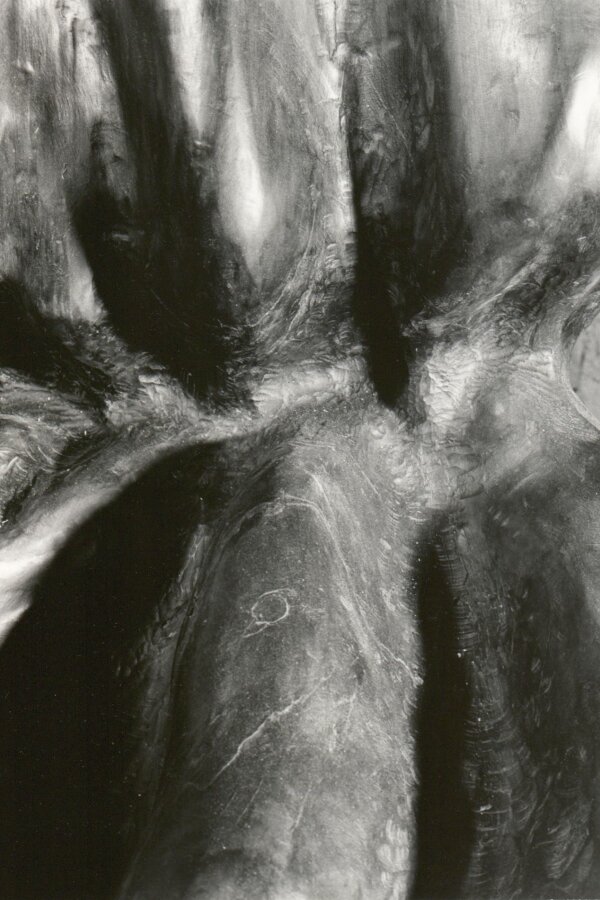 Zdeněk Macháček, Větrná krajina detail, 1980, foto: Josef Tichý, A. Fiap